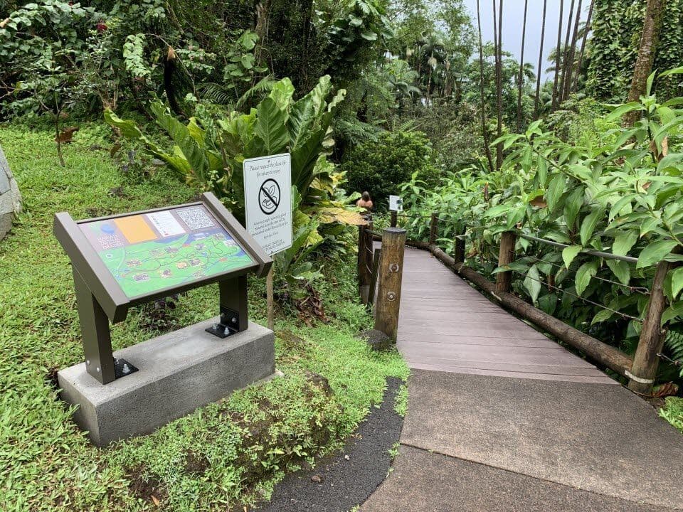 Hawaii Tropical Botanical Garden